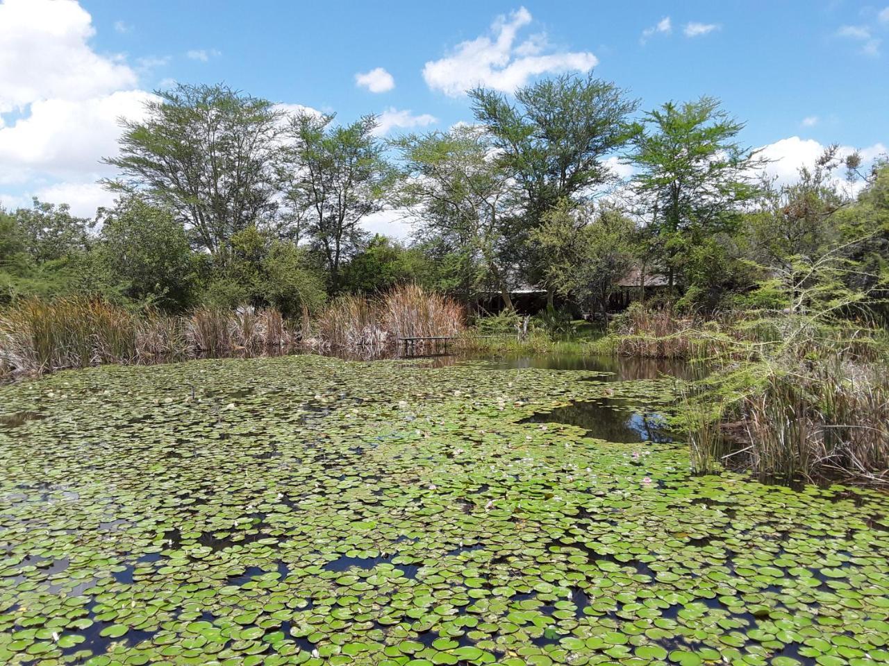 Bush Pub & Inn Hoedspruit Exterior foto